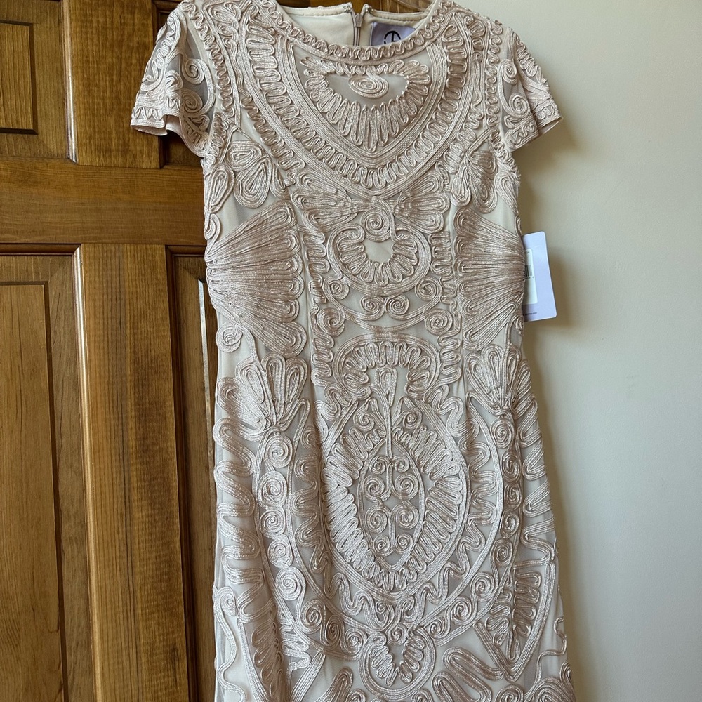 Dusty Rose Knee Length Dress